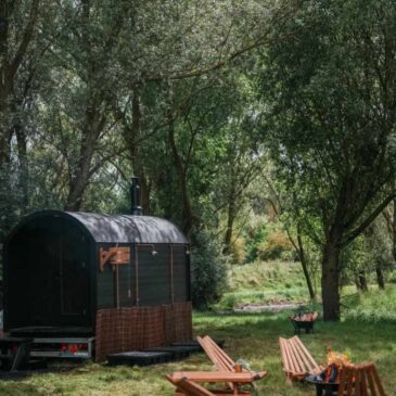 Sauna starts in the Forest