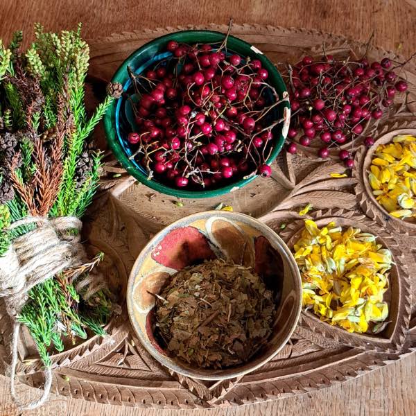 A table laden with berries, flowers and leaves foraged from the Cornish coastline
