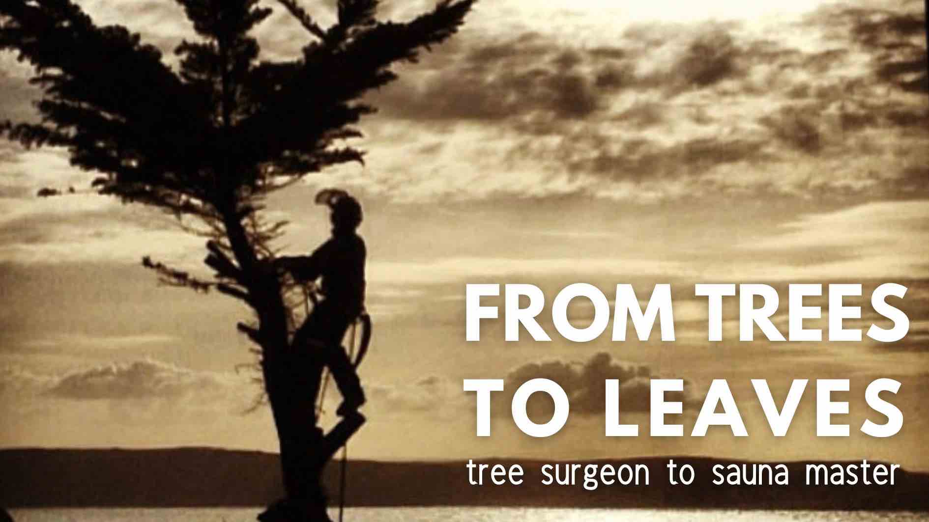 Nick T working up a tree when he was a tree surgeon, against a backdrop of the sea